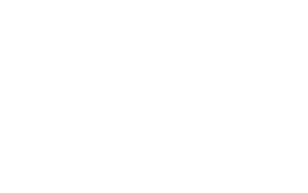 PUCHO Art